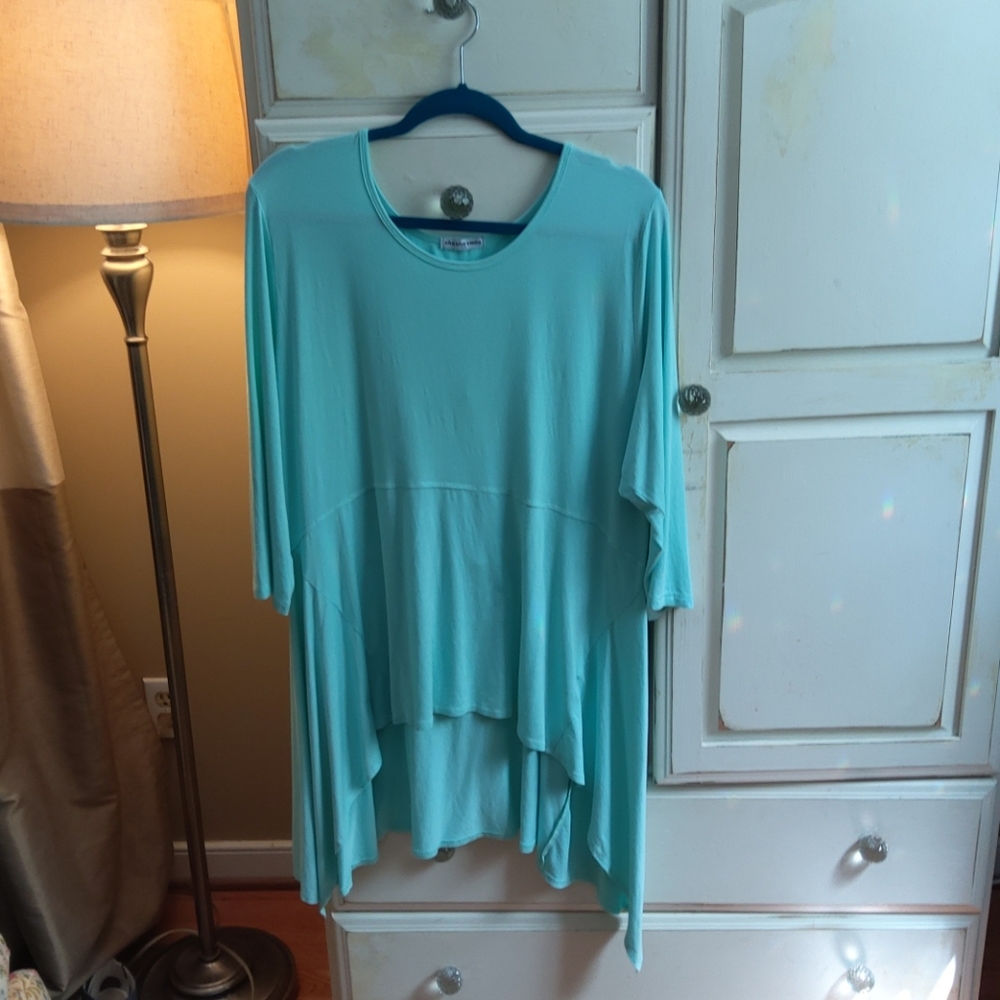 Cha Cha Vente 2x tunic top